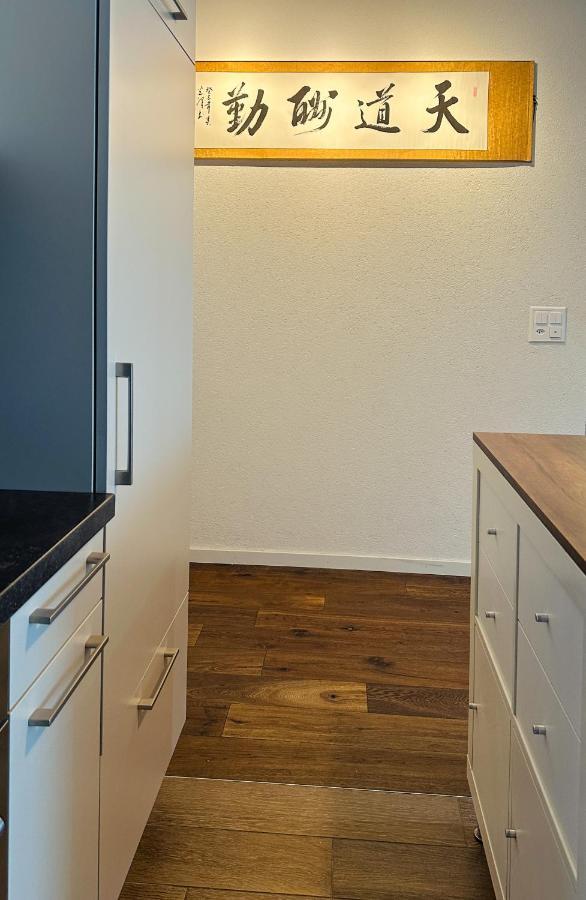 Charme Mystique De La Chine, 4 Pers Max, Free Parking Apartment Morges Luaran gambar